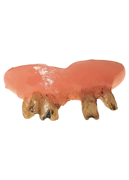 costume-accessories-makeup-prosthetics-teeth-bubba-2145