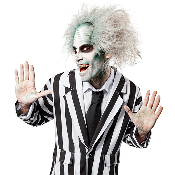 costume-accessories-wigs-beards-hair-beetlejuice-wig-51738