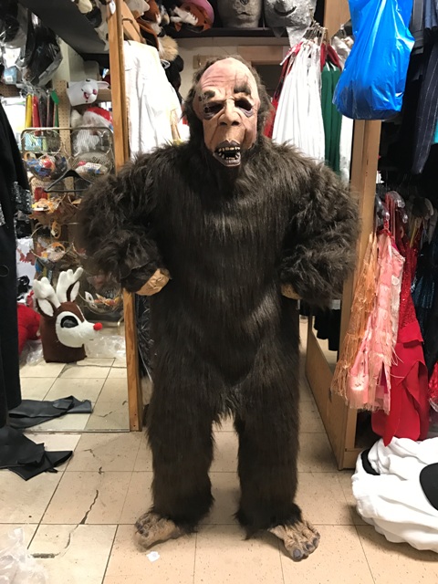 22_mascot_costume_sasquatch_bigfoot