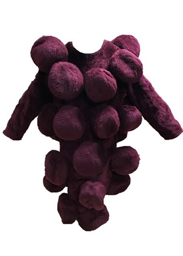adult-mascot-rental-costume-food-grapes-adeles-of-hollywood