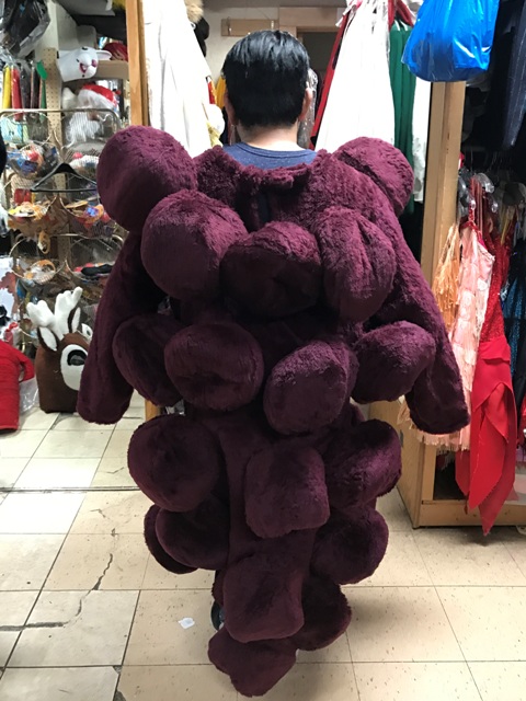 7_mascot_costume_grapes
