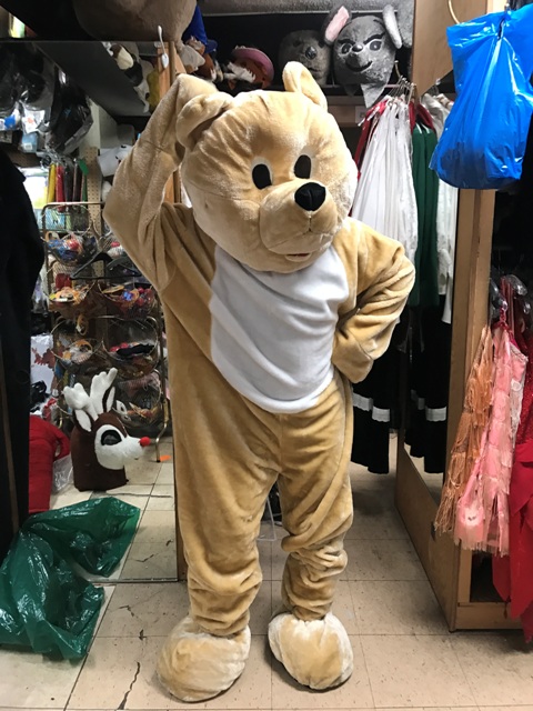 9_mascot_costume_honey_bear