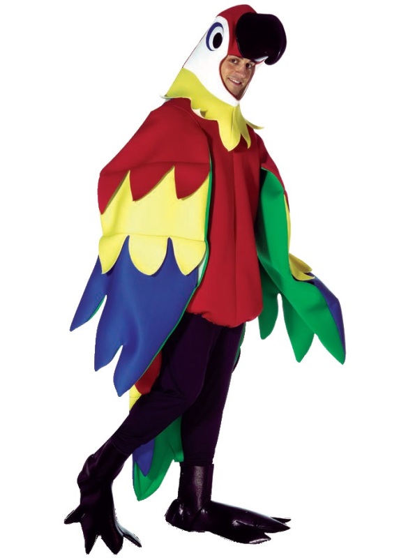 Discover 169+ parrot fancy dress latest