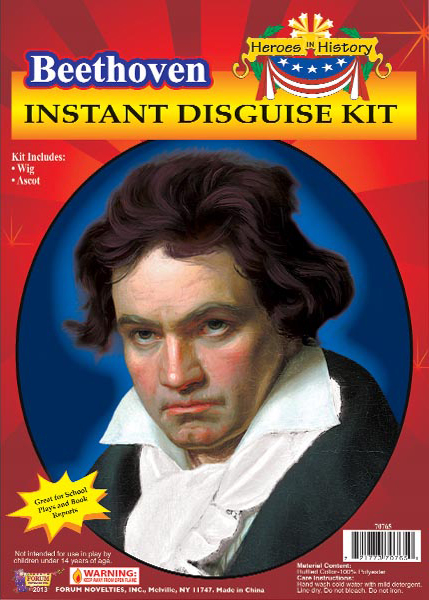 costume-accessories-kits-school-presentations-beethoven-wig-ascot-70765